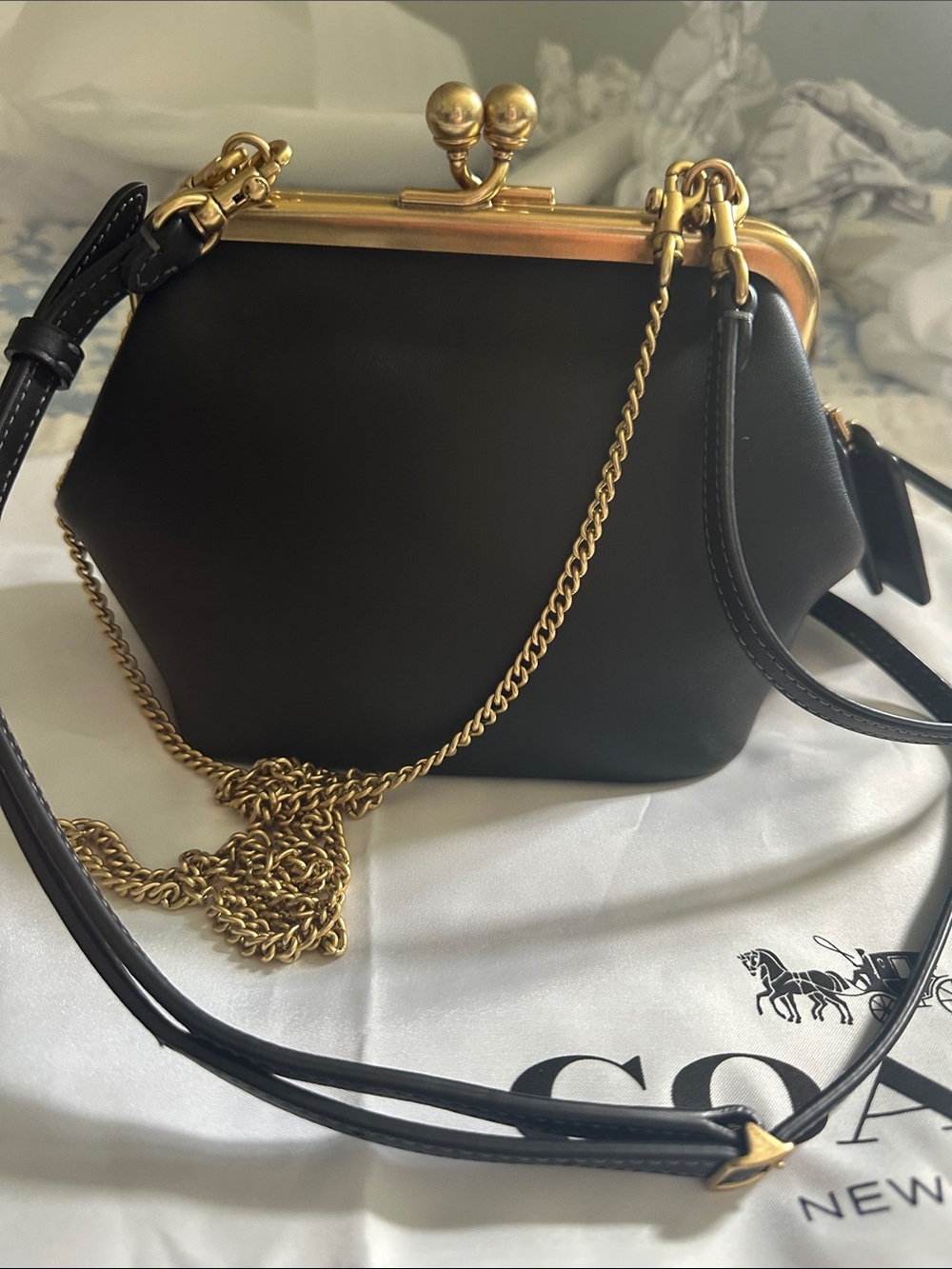 Coach Kisslock Frame Bag 14